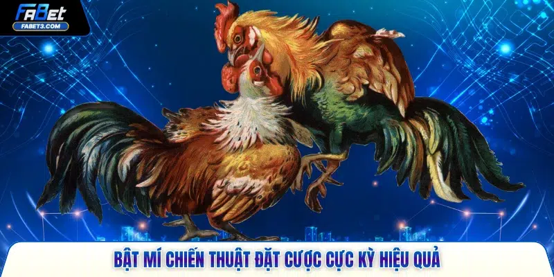 Bật mí chiến thuật đặt cược cực kỳ hiệu quả