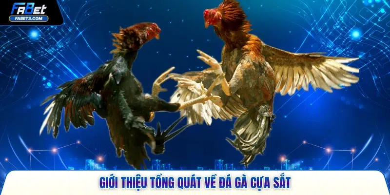 Giới thiệu tổng quát về đá gà cựa sắt